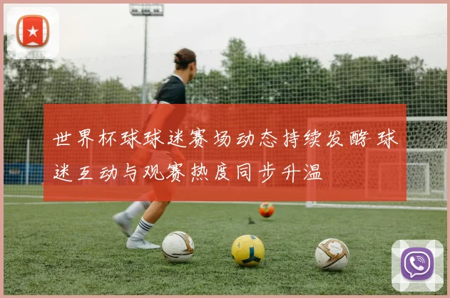 世界杯球球迷赛场动态持续发酵 球迷互动与观赛热度同步升温