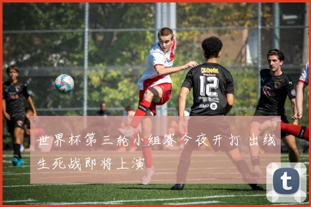 世界杯第三轮小组赛今夜开打 出线生死战即将上演
