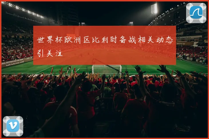 世界杯欧洲区比利时备战相关动态引关注